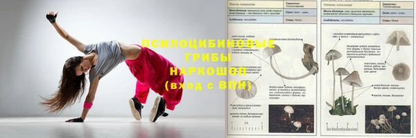 сатива Абдулино